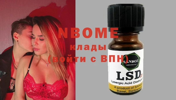 прущие грибы Алексеевка