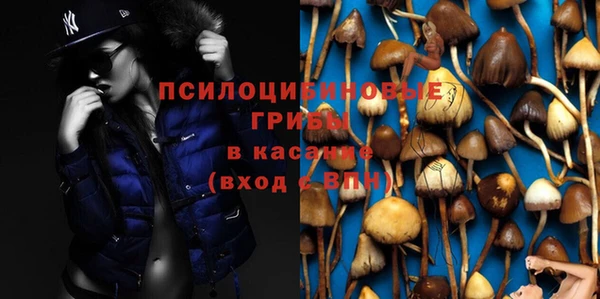 прущие грибы Алексеевка